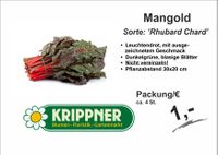 Mangold rot